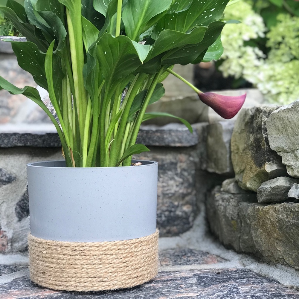 Flower Pot - Picture 2 of 3